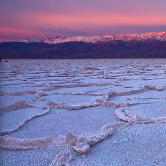 Meet your Posher, Linda - Picture 1 of 1